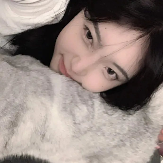 洛迪